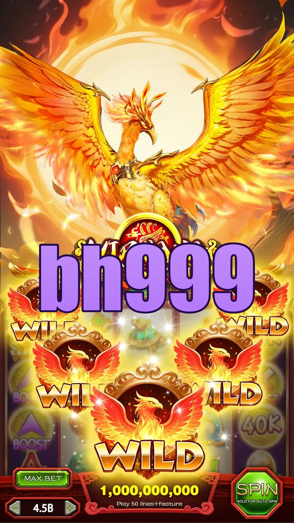 bh999 লগইন